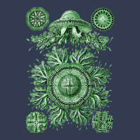 Ernst Haeckel Discomedusae Jellyfish Plate 28 Gree V-neck Tee | Artistshot