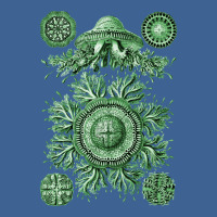 Ernst Haeckel Discomedusae Jellyfish Plate 28 Gree Men's Polo Shirt | Artistshot