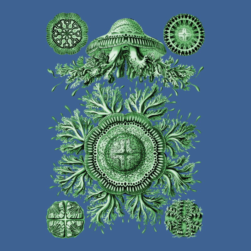 Ernst Haeckel Discomedusae Jellyfish Plate 28 Gree Men's Polo Shirt by limverjobetg | Artistshot