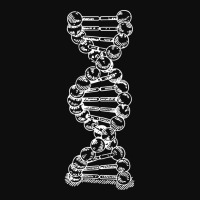 Dna Strand Helix Genetics Life Sciences Biology Wh Crop Top | Artistshot