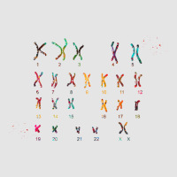 Female Chromosome Idiogram Aesthetic Exclusive T-shirt | Artistshot