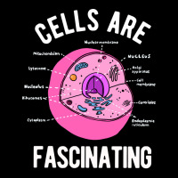 Biology Teacher Cells Are Fascinating Legging | Artistshot