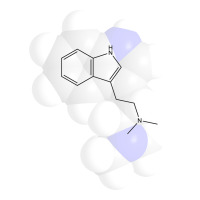 Dmt Molecule Chemistry Hipster V-neck Tee | Artistshot