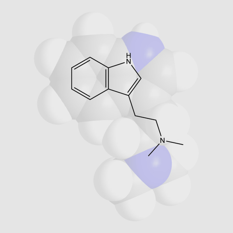 Dmt Molecule Chemistry Hipster Exclusive T-shirt | Artistshot