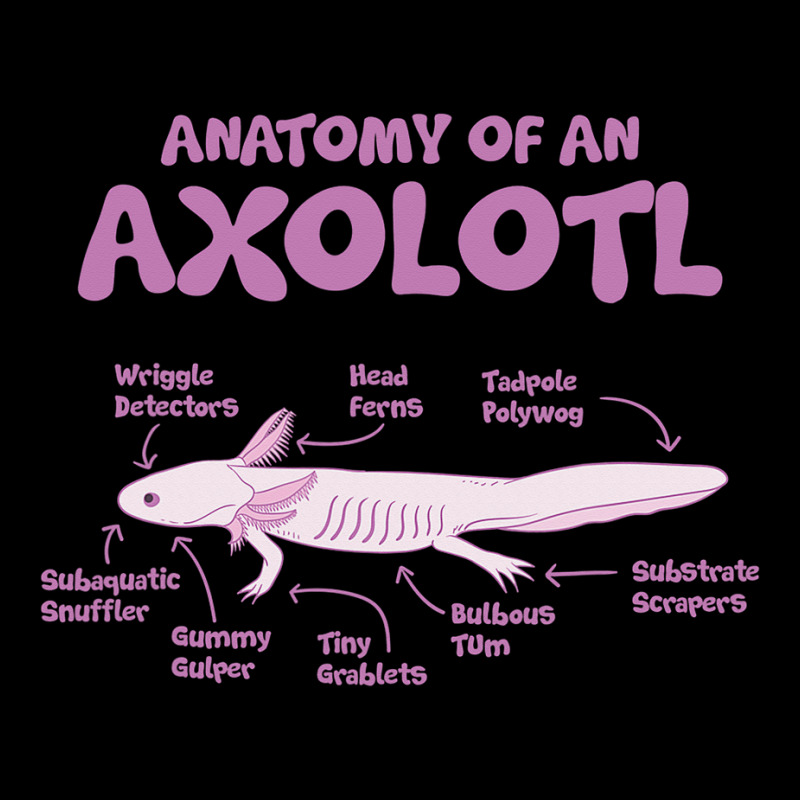 Custom Anatomy Of An Axolotl Axolotls Biology Diagram Kids Cap By