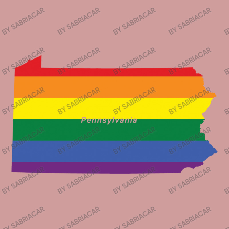 Pennsylvania Rainbow Flag Iphone 13 Case | Artistshot