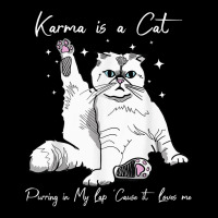 Karma Is A Cat Purring In My Lap Cause It Loves Me Youth Hoodie | Artistshot