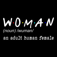 Funny Woman Definition Noun An Adult Human Female V-neck Tee | Artistshot