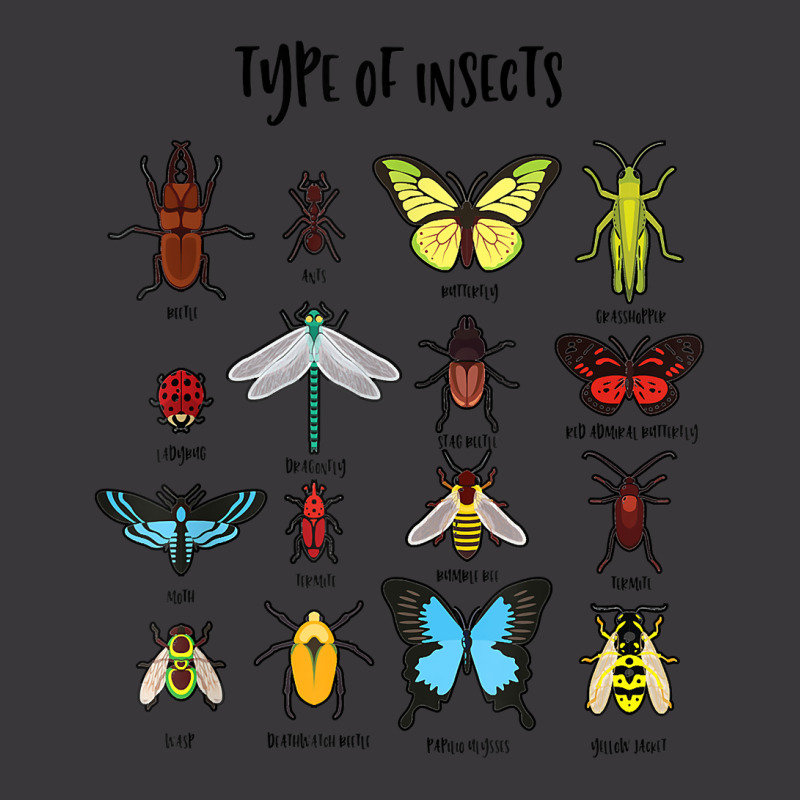 Types Of Insects Study Of Biology Science Bug Iden Ladies Curvy T-Shirt by sudhirka | Artistshot