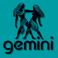 Gemini Iphone 13 Case | Artistshot