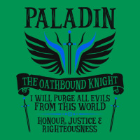 Paladin1 Classic T-shirt | Artistshot