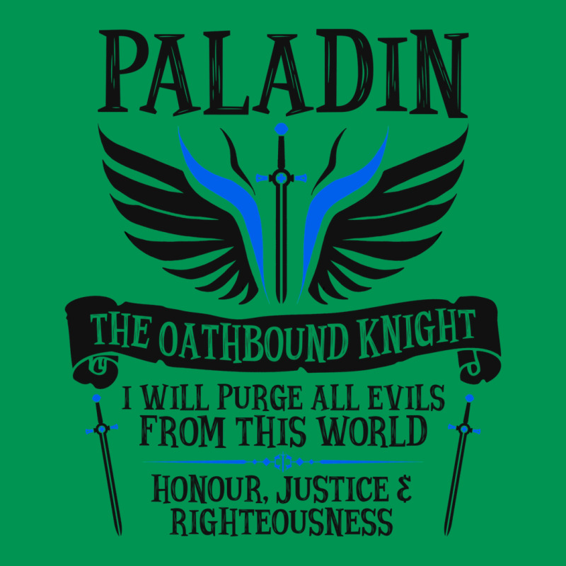 Paladin1 Classic T-shirt | Artistshot