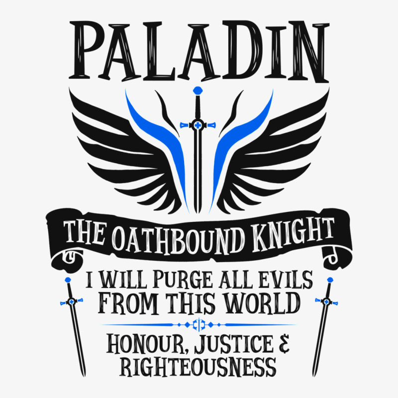 Paladin1 Champion Hoodie | Artistshot