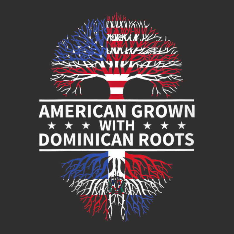 Womens Dominican Shirts, American Grown Dominican Champion Hoodie by saterseim | Artistshot