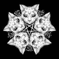 Pentagram Cat Tshirt   Satanic Kitten Withcraft Go Cropped Hoodie | Artistshot