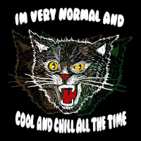 Angry Cat Iâ€™m Very Normal And Cool And Chil Youth Hoodie | Artistshot