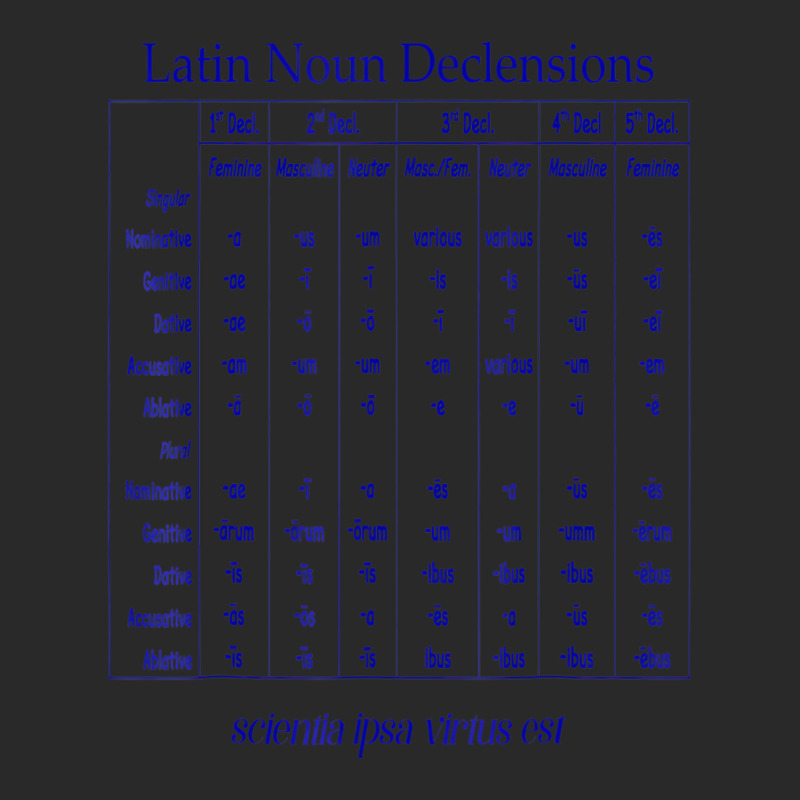 Latin Noun Declension Chart T Shirt For Classical Printed hat by worrekal | Artistshot