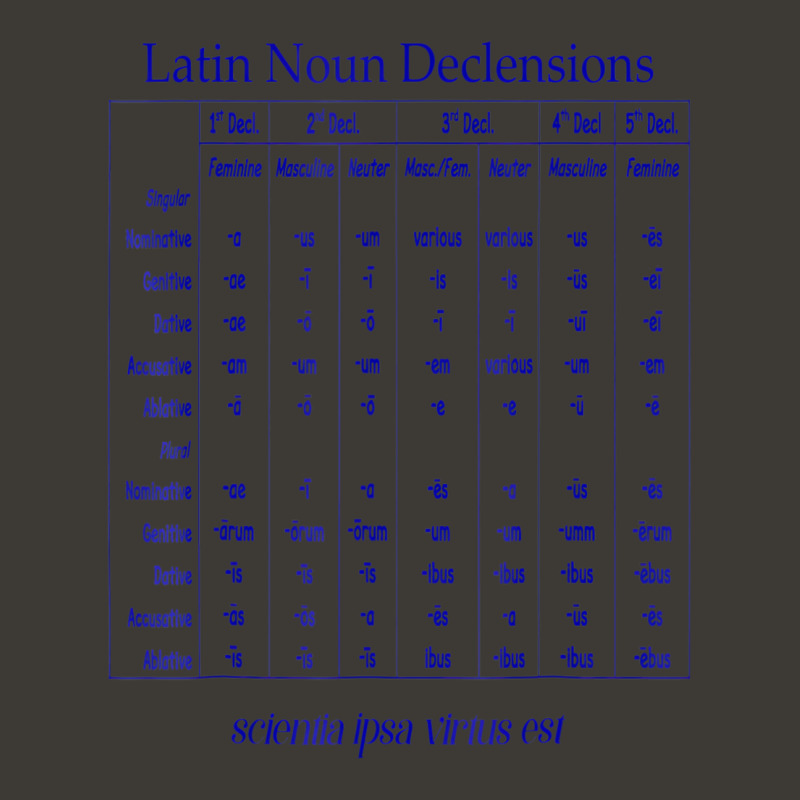 Latin Noun Declension Chart T Shirt For Classical Bucket Hat by worrekal | Artistshot