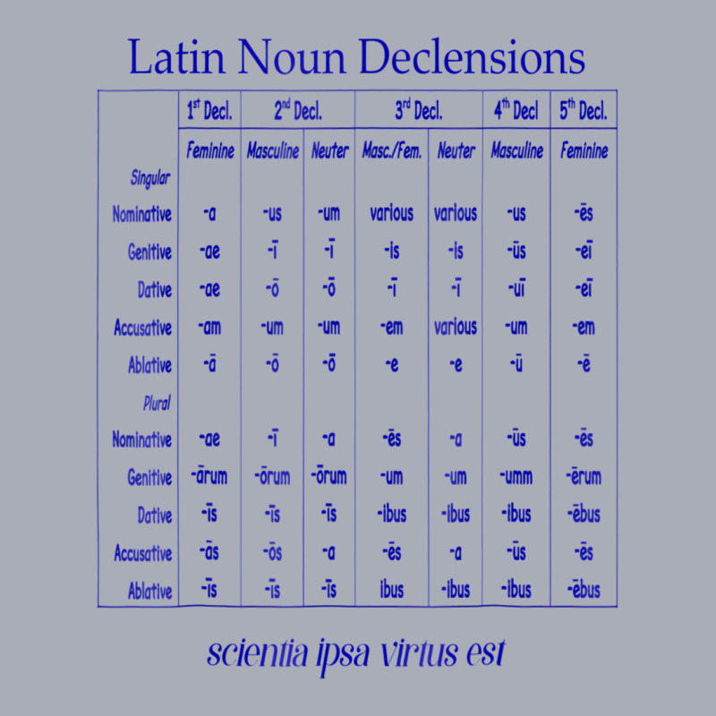 Latin Noun Declension Chart T Shirt For Classical Tank Dress by worrekal | Artistshot