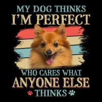 My Dog Thinks Im Perfect German Spitz Dog Retro St V-neck Tee | Artistshot