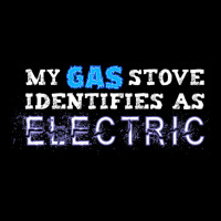 My Gas Stove Identifies As Electric Funny T Shirt Youth Sweatshirt | Artistshot