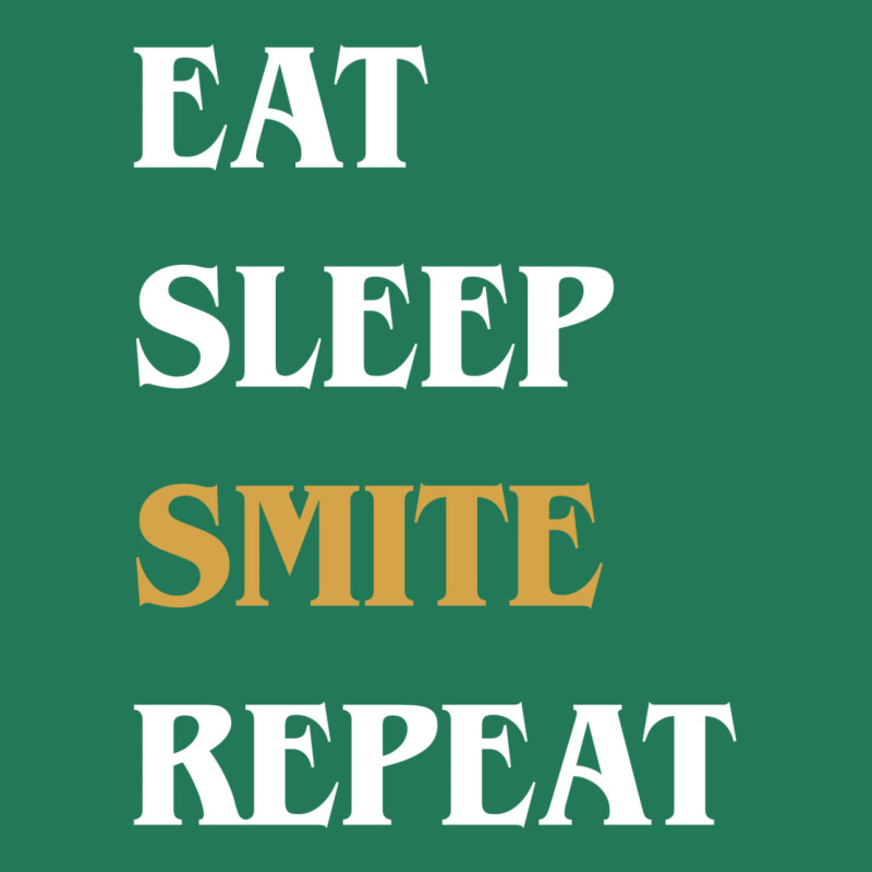 Eat Sleep Smite Repeat   Funny Paladin 16 Ladies Fitted T-Shirt by wronazeinerl | Artistshot