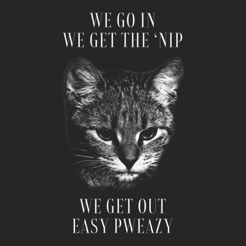 We Go In We Get The Catnip We Get Out Tshirt Bank  Ladies Fitted T-Shirt by DanielLopezJacuinde | Artistshot