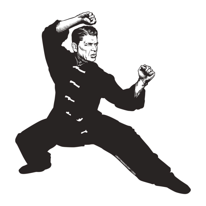 Kung Fu Reagan Long Sleeve Shirts by adziaaroudg | Artistshot