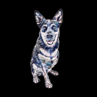 An Australian Cattle Dogs Thalated On W Cropped Sweater | Artistshot