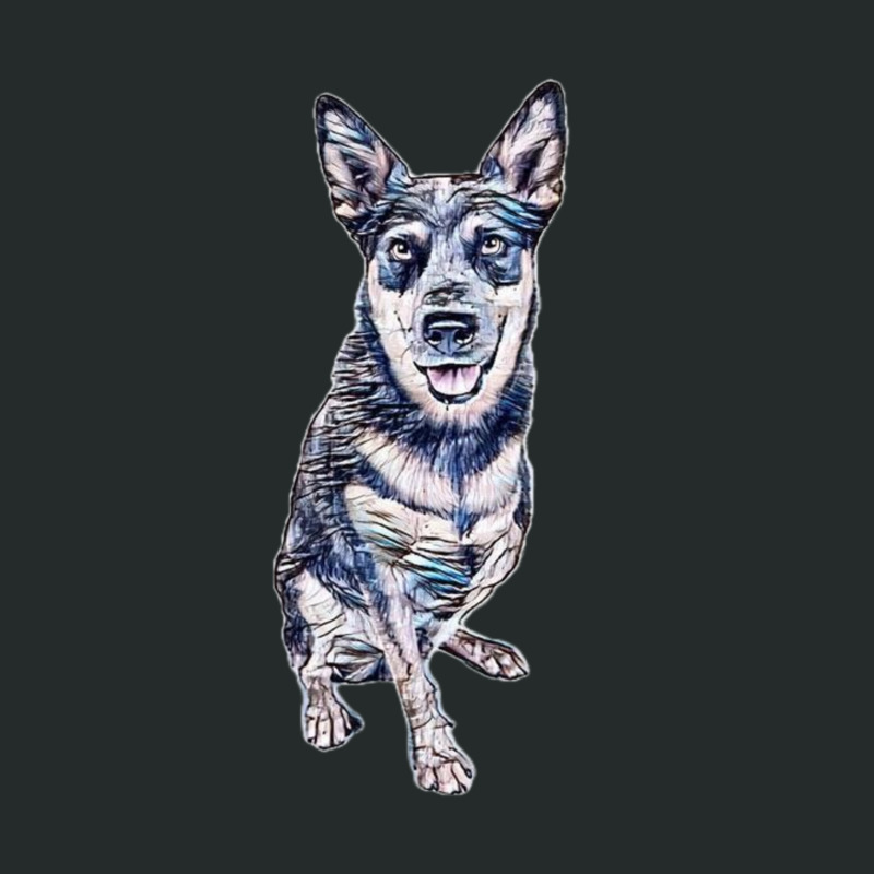 An Australian Cattle Dogs Thalated On W Women's Triblend Scoop T-shirt by Kemnabi | Artistshot