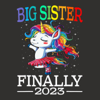 Big Sister Finally 2023 Unicorn Unicorn Shirt For Champion Hoodie | Artistshot