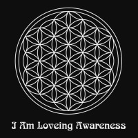 I Am Loving Awareness, Ram Dass Mantra, Flower Of Crop Top | Artistshot