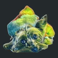 Yorkshire Terrier Dog Laying Women's Triblend Scoop T-shirt | Artistshot