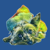 Yorkshire Terrier Dog Laying Ladies Fitted T-shirt | Artistshot