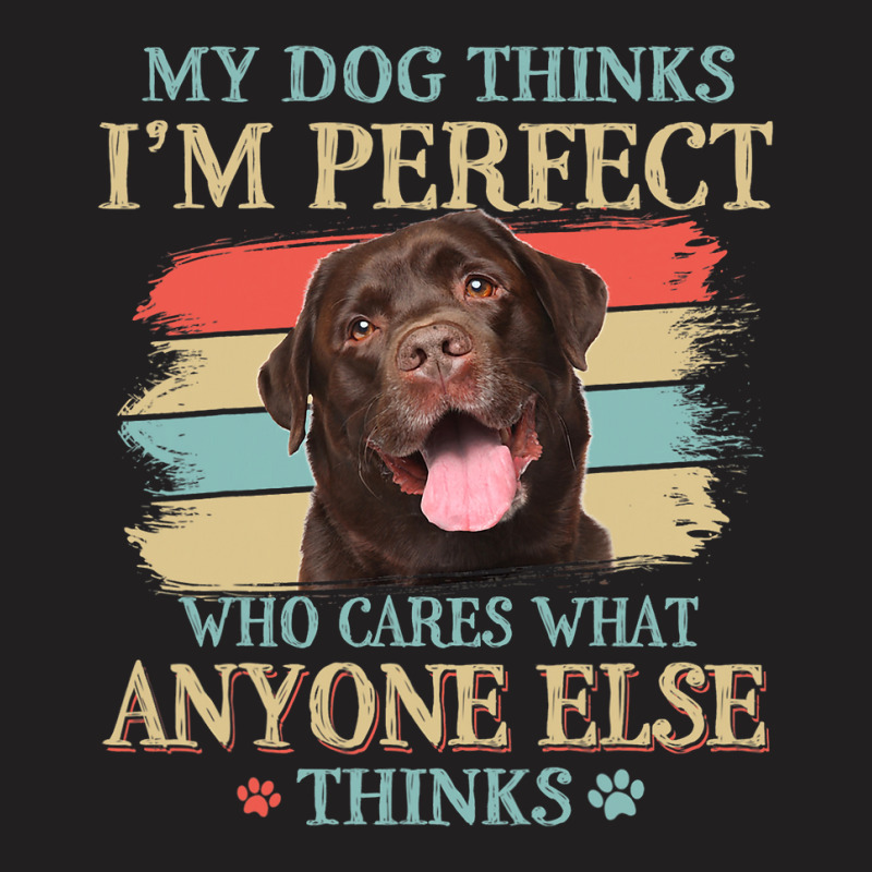 My Dog Thinks Im Perfect Chocolate Labrador Dog Re T-shirt | Artistshot