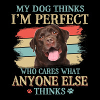 My Dog Thinks Im Perfect Chocolate Labrador Dog Re V-neck Tee | Artistshot