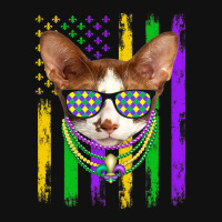 Cute Oriental Cat Lover American Flag Mardi Gras Graphic T-shirt | Artistshot