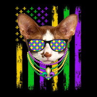 Cute Oriental Cat Lover American Flag Mardi Gras V-neck Tee | Artistshot