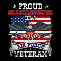 Proud Granddaughter Of A Us Air Force Veteran Mili Women's V-neck T-shirt | Artistshot