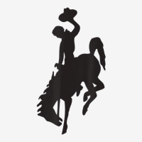 Bucking Bronco Cowboy Horse Gift Tee Graphic Youth T-shirt | Artistshot