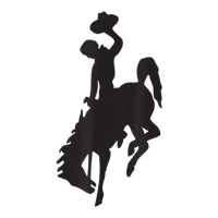 Bucking Bronco Cowboy Horse Gift Tee Toddler T-shirt | Artistshot