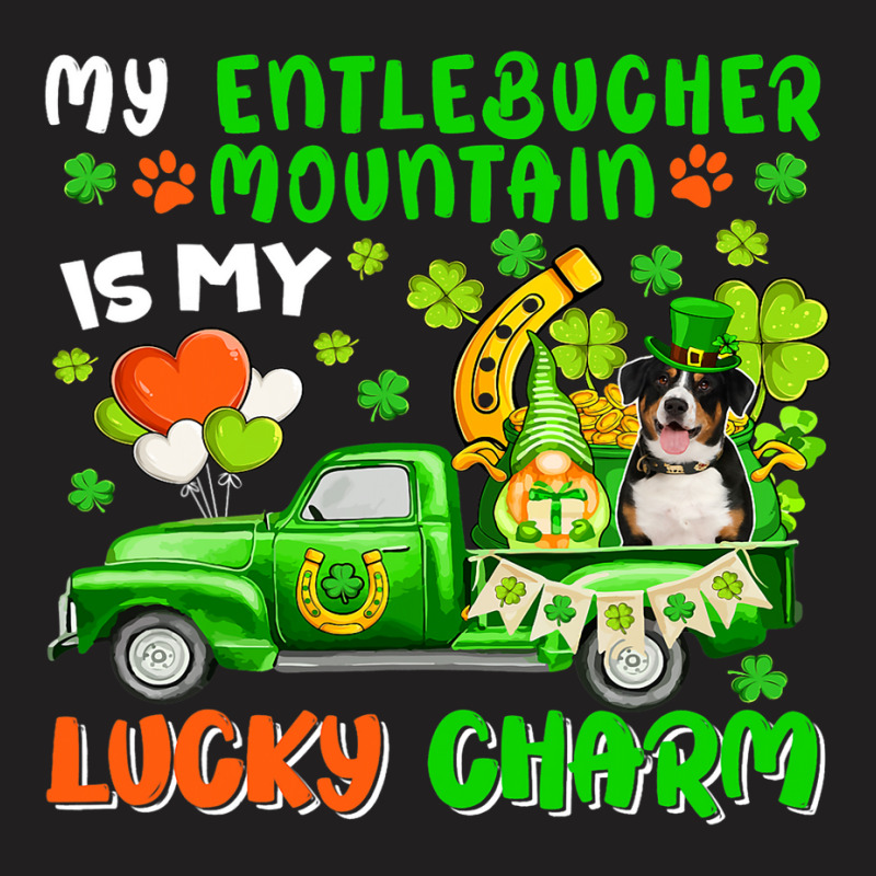 Entlebucher Mountain Is My Lucky Charm Patricks Da T-shirt | Artistshot