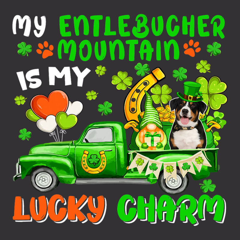 Entlebucher Mountain Is My Lucky Charm Patricks Da Vintage Hoodie And Short Set | Artistshot