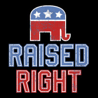 Republican Gop Conservative Raised Right T Shirt Youth Zipper Hoodie | Artistshot