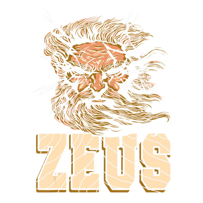 Zeus God Of Lightning Retro Greek Mythological Pre Youth Sweatshirt | Artistshot