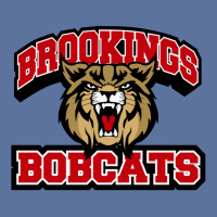 Brookings High School Lightweight Hoodie | Artistshot