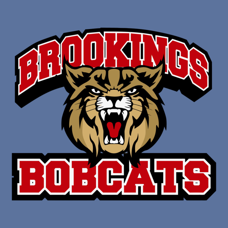 Brookings High School Lightweight Hoodie | Artistshot