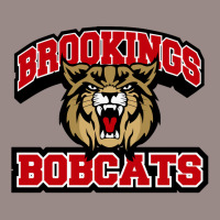 Brookings High School Vintage T-shirt | Artistshot