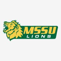 Missouri Southern Lions Holiday Stocking | Artistshot