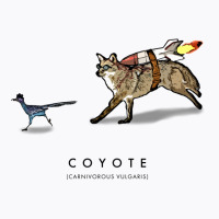 Coyote & Roadrunner 12 T-shirt | Artistshot